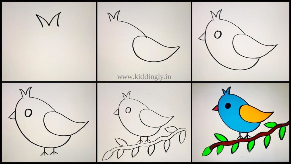 Drawing Tutorial - Birds Theme Drawing Tutorial - Birds Theme - WhatsApp Image 2019 09 19 at 3.03.09 PM 1 1024x576