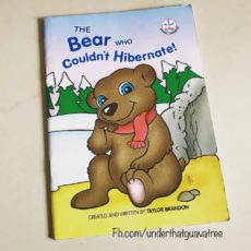 The Bear who couldn’t hibernate